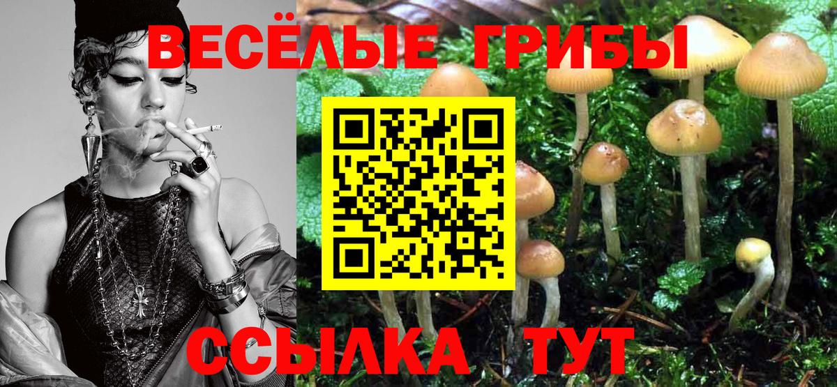Псилоцибиновые грибы прущие грибы  Вход с VPN  Екатеринбург  Псилоцибиновые грибы MAGIC MUSHROOMS 